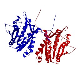 Image of CATH 1bhj