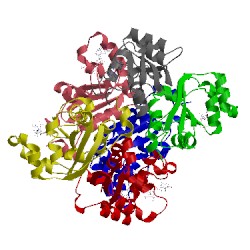 Image of CATH 1bhn