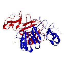Image of CATH 1bht
