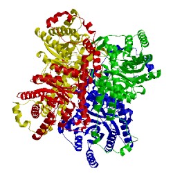 Image of CATH 1bhw