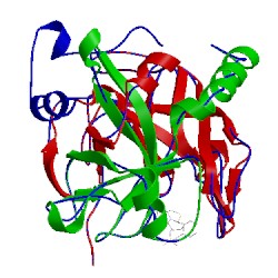 Image of CATH 1bhx