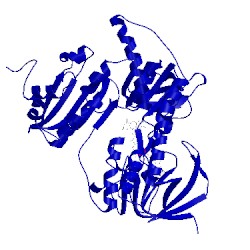 Image of CATH 1bhy