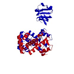 Image of CATH 1bi3