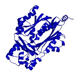 Image of CATH 1bi5