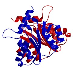 Image of CATH 1bis