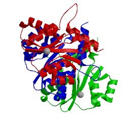 Image of CATH 1biu