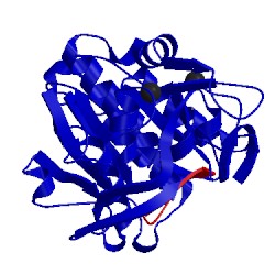 Image of CATH 1bjr