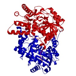 Image of CATH 1bjw