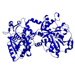 Image of CATH 1bka