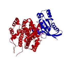 Image of CATH 1bkd