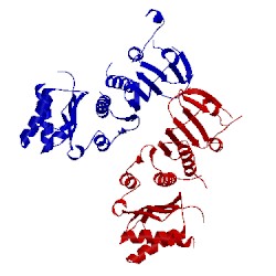 Image of CATH 1bkn