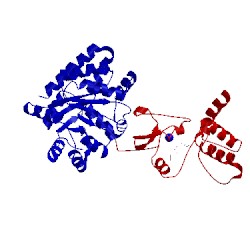 Image of CATH 1bks