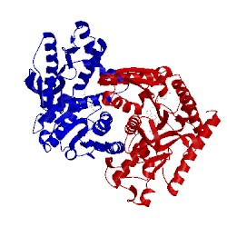 Image of CATH 1bmd