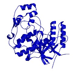 Image of CATH 1bmk