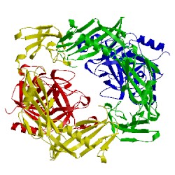 Image of CATH 1bml