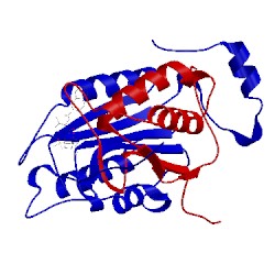 Image of CATH 1bmq