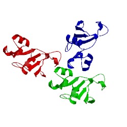 Image of CATH 1bne