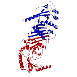 Image of CATH 1bo1