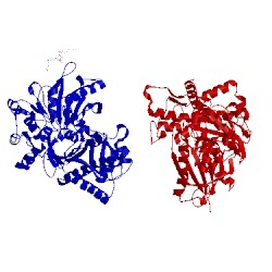 Image of CATH 1bo5