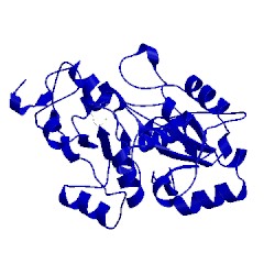 Image of CATH 1boh