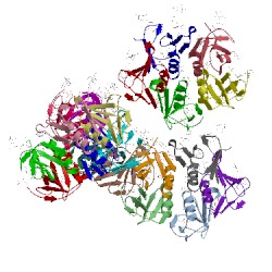 Image of CATH 1bos