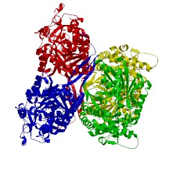 Image of CATH 1bpw