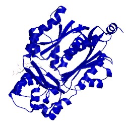 Image of CATH 1bq6