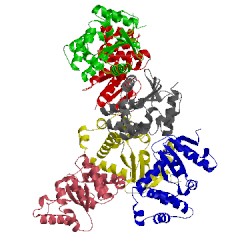 Image of CATH 1bq7