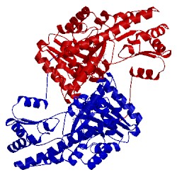 Image of CATH 1bqd