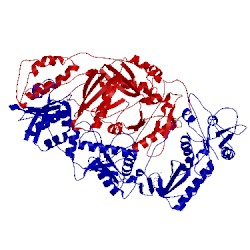 Image of CATH 1bqm