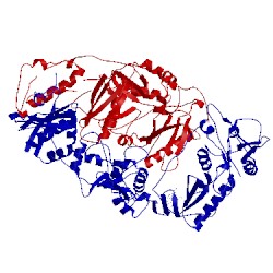 Image of CATH 1bqn