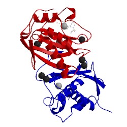 Image of CATH 1bqo