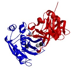 Image of CATH 1bqq