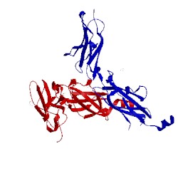 Image of CATH 1bqu
