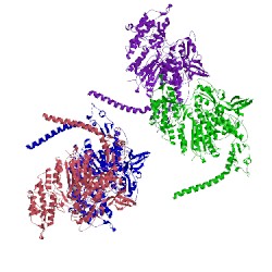 Image of CATH 1br4