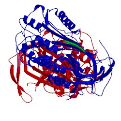 Image of CATH 1br8