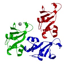 Image of CATH 1brg