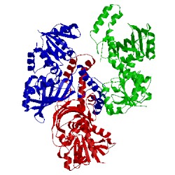 Image of CATH 1brm