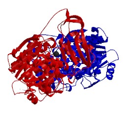 Image of CATH 1brw