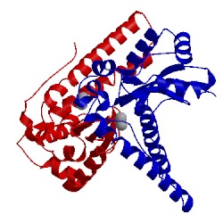 Image of CATH 1bs3