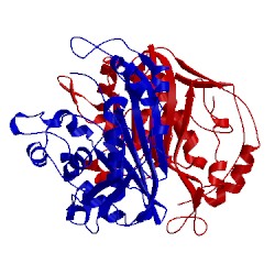 Image of CATH 1bsf