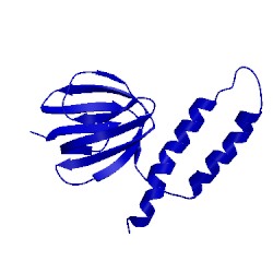 Image of CATH 1bsh