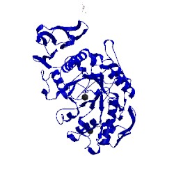 Image of CATH 1bsi