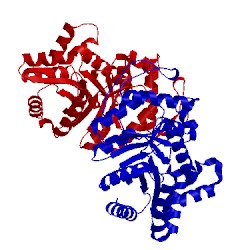 Image of CATH 1bsl