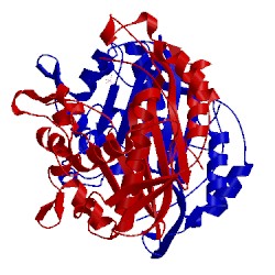 Image of CATH 1bsp