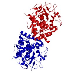 Image of CATH 1bt1