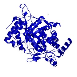 Image of CATH 1btc