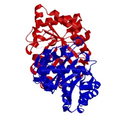 Image of CATH 1btm