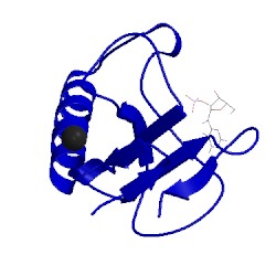 Image of CATH 1bu4