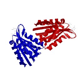 Image of CATH 1bu5